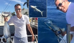 Van Persie câu cá mập để giải khuây