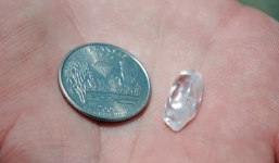 Dạo chơi công viên, tìm thấy kim cương 'khủng' đáng cả gia tài