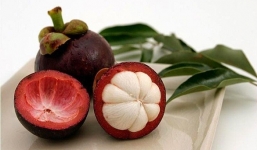 Măng cụt và những công dụng chữa bệnh tuyệt vời 