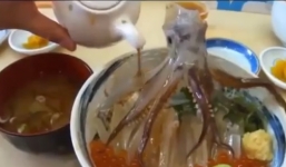 Video: Kỳ dị con mực chết có thể nhảy múa sau khi được tưới nước đậu nành