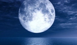 Nikon P900 phô 'sức mạnh': quay được cảnh mặt trăng chuyển động