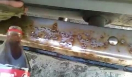 Video: Tẩy vết bẩn nhanh chóng trên ô tô bằng Coca Cola