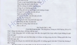 Bạo lực, vô cảm vào đề thi Văn THPT quốc gia 2015