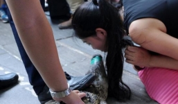 Trung Quốc: Tuyển việc bằng thử thách hôn cá sấu