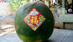 An Giang: Dưa hấu để qua hai cái tết chưa hỏng