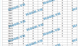 Xem đáp án đề thi Sinh học năm 2015 mã đề 725 nhanh nhất