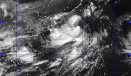 Diễn biến cơn bão số 2: Bão Linfa giật cấp 12, càn quét biển Đông