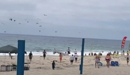 Video: Máy bay lao xuống bãi biển khiến bé trai 12 tuổi bị thương ở đầu