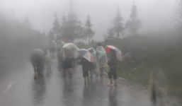 Nguyên nhân Sa Pa rét bất thường 12,6 độ C giữa mùa hè