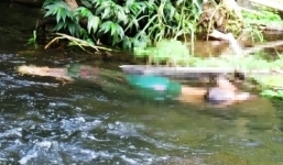 Truy bắt hung thủ sát hại 4 người trong một gia đình ở Nghệ An