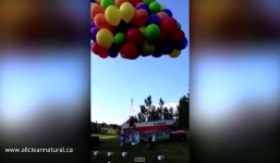 Video: Người đàn ông “chạm mặt” phi cơ khi lên trời với 100 quả bóng bay