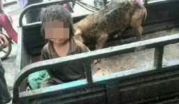 Video: Giải cứu bé trai 7 tuổi sống trong chuồng heo ở Trung Quốc