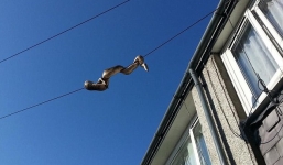 Trăn khủng xứ Wales đu dây điện thoát khỏi bể nuôi