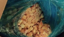 Thu giữ 33 tấn đu đủ quá hạn sử dụng 5 năm