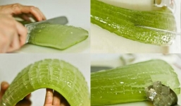 Chữa lành vết thương từ những chất tự nhiên