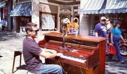 Chàng trai bỏ việc, cùng chó cưng vác piano đi du lịch vòng quanh thế giới