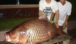 Kiếm bộn tiền nhờ thủy quái miền Tây