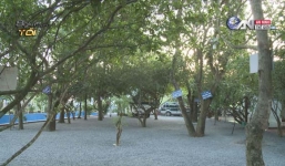 Thực hư khu vườn thần kỳ trị bách bệnh ở Long An