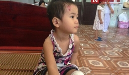 Cuộc sống của bé Kiều Tâm Anh chùa Bồ Đề giờ ra sao?