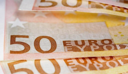 Đi bộ phát hiện 4,4 tỷ đồng rơi từ trên cây xuống