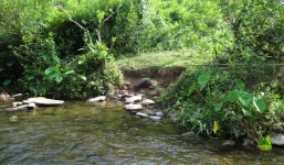 Án mạng 4 người ở Nghệ An: Các nạn nhân tử vong trước đó một tuần