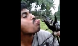 Liều lĩnh 'hôn' con cua, chàng trai dại dột suýt đứt lưỡi