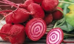 Củ dền đỏ và những tác dụng không phải ai cũng biết