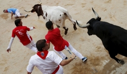 Hàng chục người bị húc bầm dập tại lễ hội bò rượt ở Tây Ban Nha