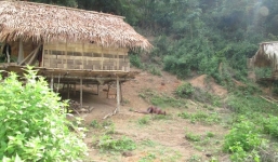 Thông tin mới nhất vụ trọng án 4 người chết ở Nghệ An