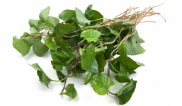 Tác dụng diệu kỳ của rau diếp cá