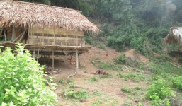 Trọng án 4 người ở Nghệ An: Điều tra một số tình tiết truy tìm hung thủ