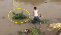 Hải Phòng: Thi thể phụ nữ đang phân hủy nổi trên sông