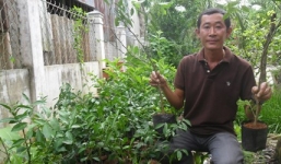 Từ nông dân thành tỷ phú trăm triệu nhờ cây trồng