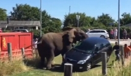 Ba con voi 'nổi điên' đập nát xe hơi, làm một người bị thương