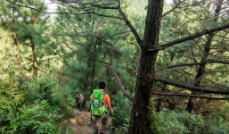 Đi cắm trại, 4,4 tỉ “rơi trúng đầu”