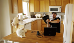 'Choáng' với công nghệ photocopy... mèo