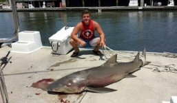 Cậu bé 15 tuổi câu được cá mập ngay trên bến tàu 