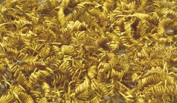 Phát hiện 2000 sợi vàng xoắn ốc niên đại 3000 năm