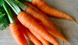 Lạm dụng cà rốt sẽ gây hại cho sức khỏe
