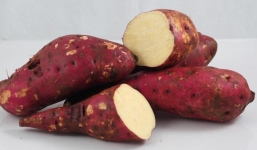 Khoai lang và những tác dụng bất ngờ cho sức khỏe