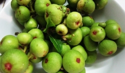 Công dụng tuyệt vời của quả sung