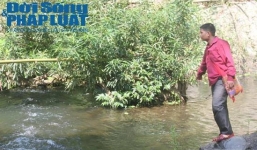 Vụ án chấn động Nghệ An: Đối tượng nhắm vào cô con dâu?