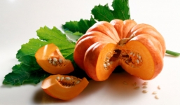 Bí đỏ và tác dụng chữa bệnh hiệu quả