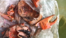 Cua toàn gạch, chứa vật thể lạ khiến người dân xôn xao