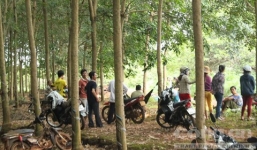 Một phụ nữ bị sát hại ở Bình Phước: Khởi tố nghi can 18 tuổi