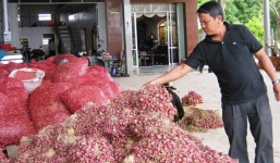 Từ chăn dê thành giám đốc kiếm nửa tỉ mỗi năm.