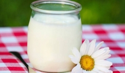 Những sai lầm thường mắc phải khi ăn sữa chua