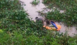 Hoảng hồn phát hiện thi thể trôi sông