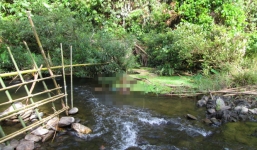 Vụ thảm sát 4 người tại Nghệ An: Hung khí là dao đi rừng