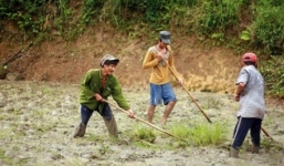 'Người rừng' Hồ Văn Lang cố gắng học chữ để... tìm vợ